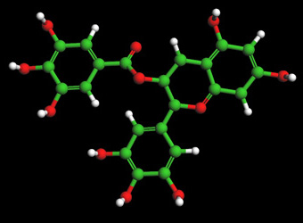 EGCG molecule