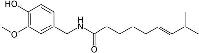 Capsaicin Molecule Ball and Stick Model