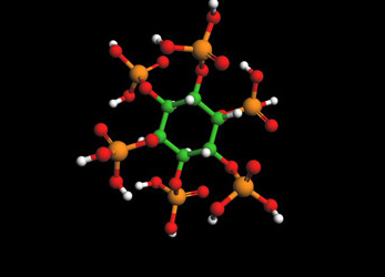 IP-6 Molecule