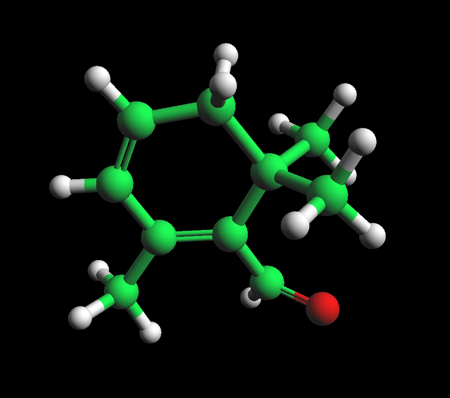 Safranal Molecule Ball and Stick Model